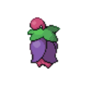 421 Cherrim Overcast icon